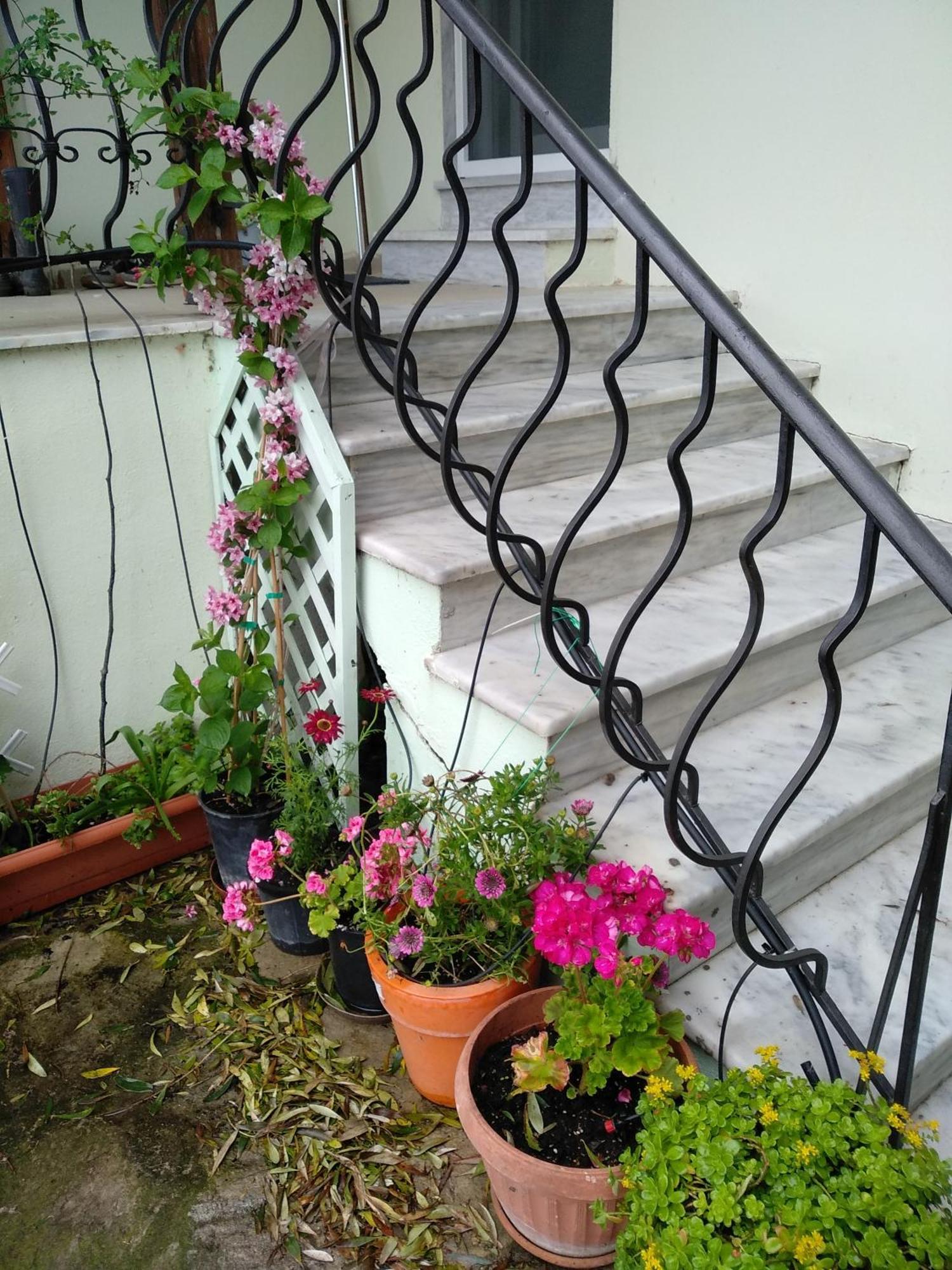 Peacock Villa Upper Επανωμή Εξωτερικό φωτογραφία