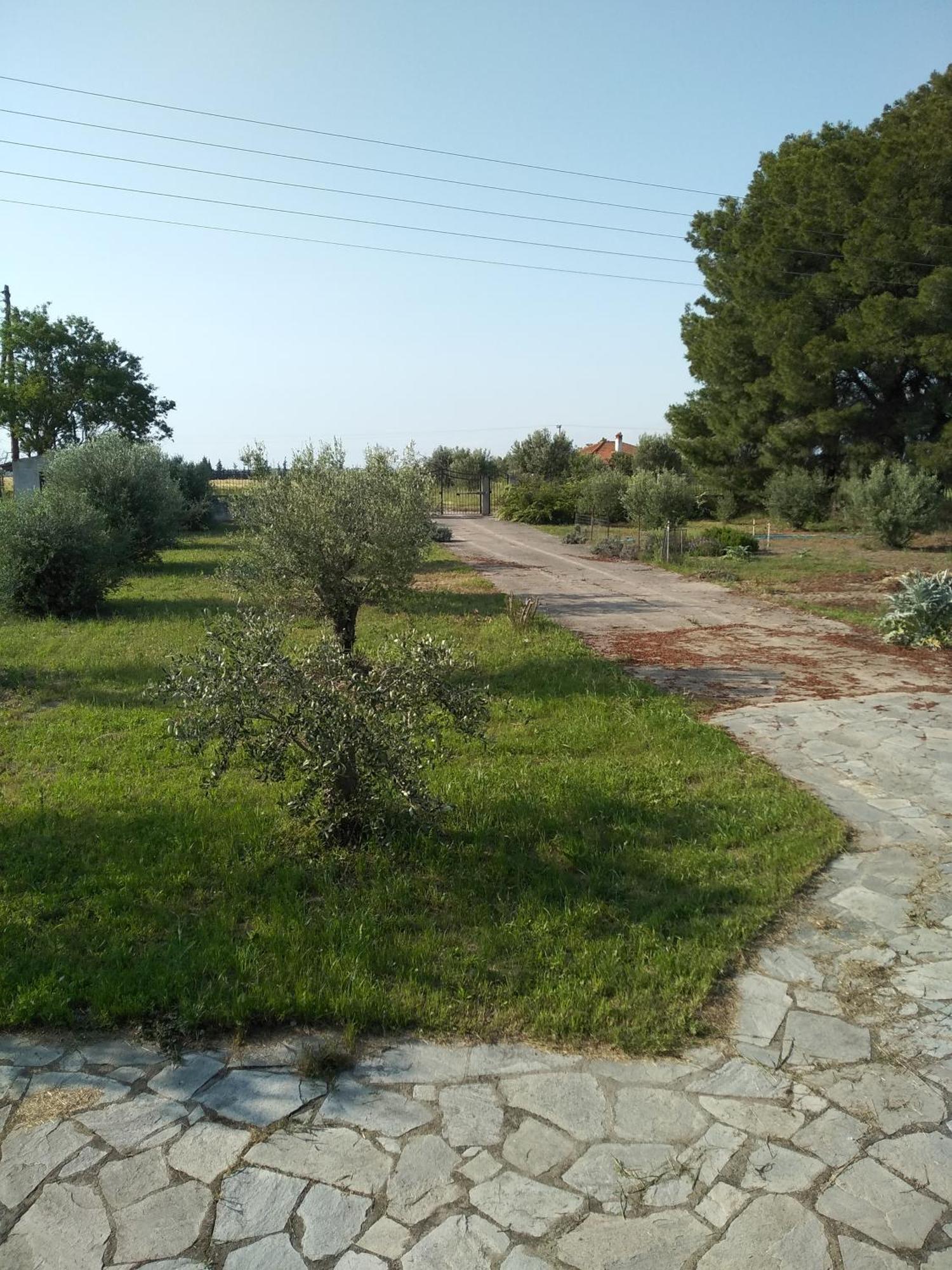 Peacock Villa Upper Επανωμή Εξωτερικό φωτογραφία