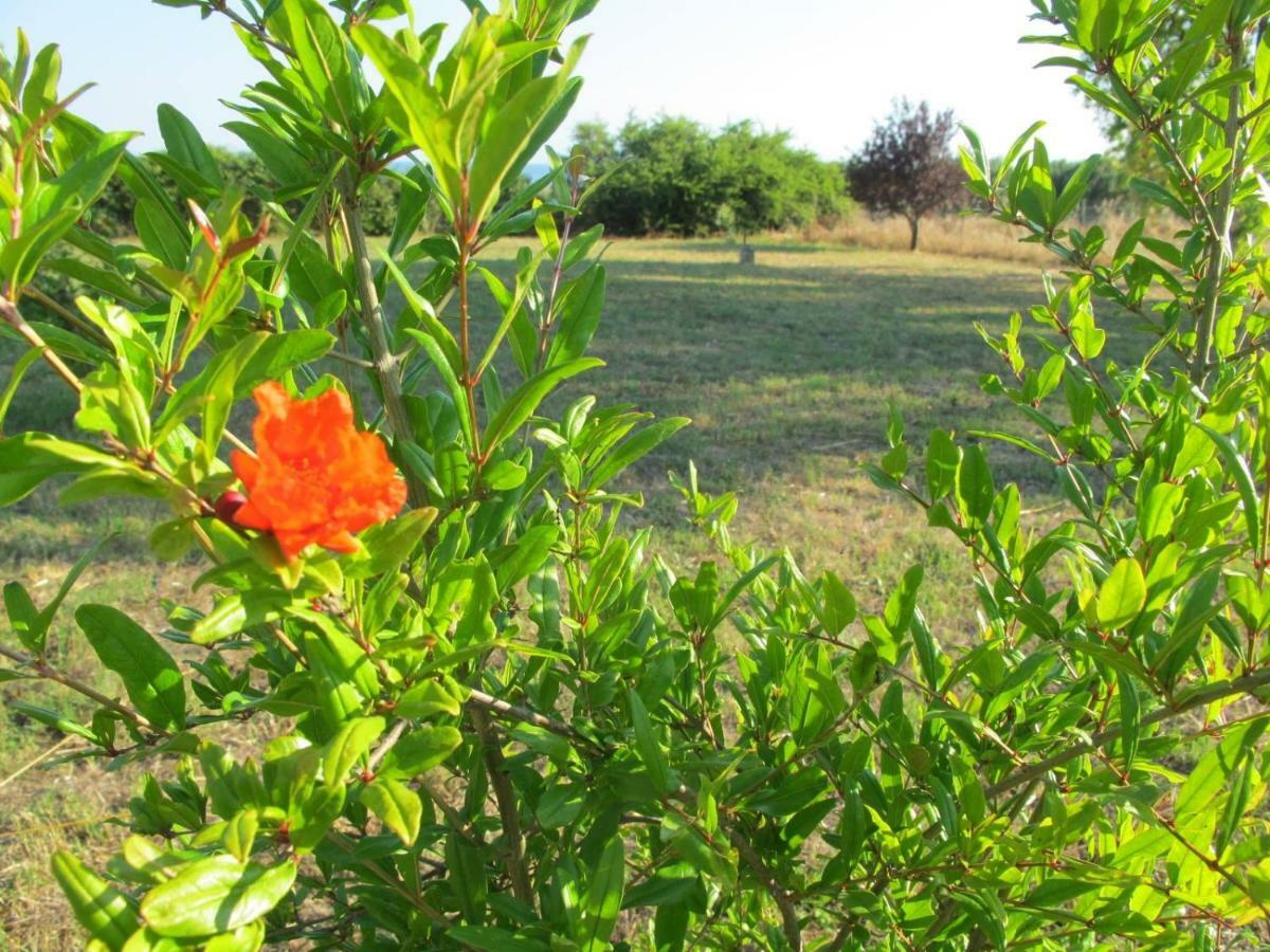 Peacock Villa Upper Επανωμή Εξωτερικό φωτογραφία